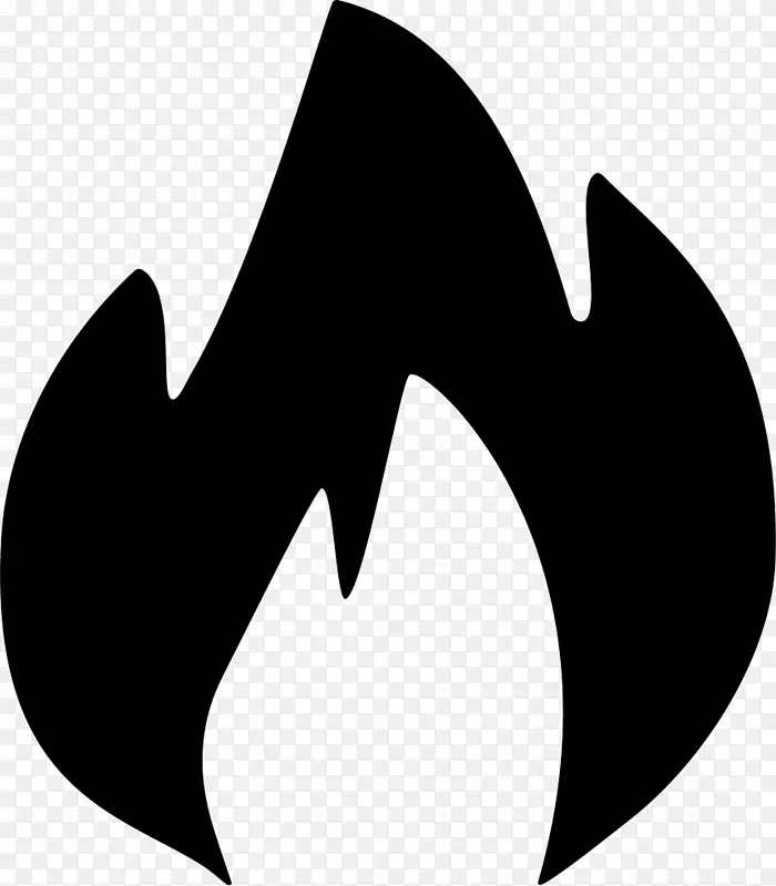 计算机图标可伸缩图形png图片火焰共享图标火焰