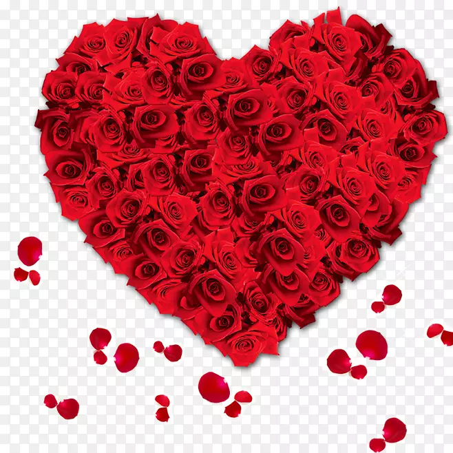花浪漫情人节设计png图片-真正的玫瑰