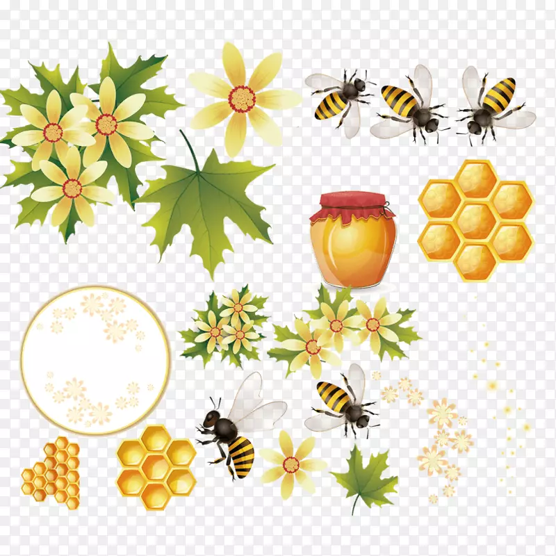 西方蜜蜂蜂巢图形.手工绘制的蜜蜂