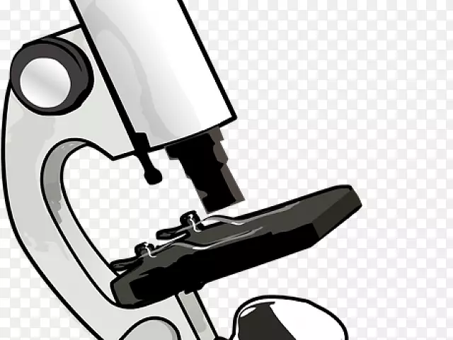光学显微镜剪辑艺术无光内容双目边界