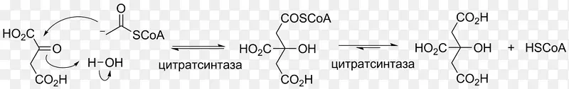 羟醛缩合百科全书催化醛固酮反应酸缩合反应