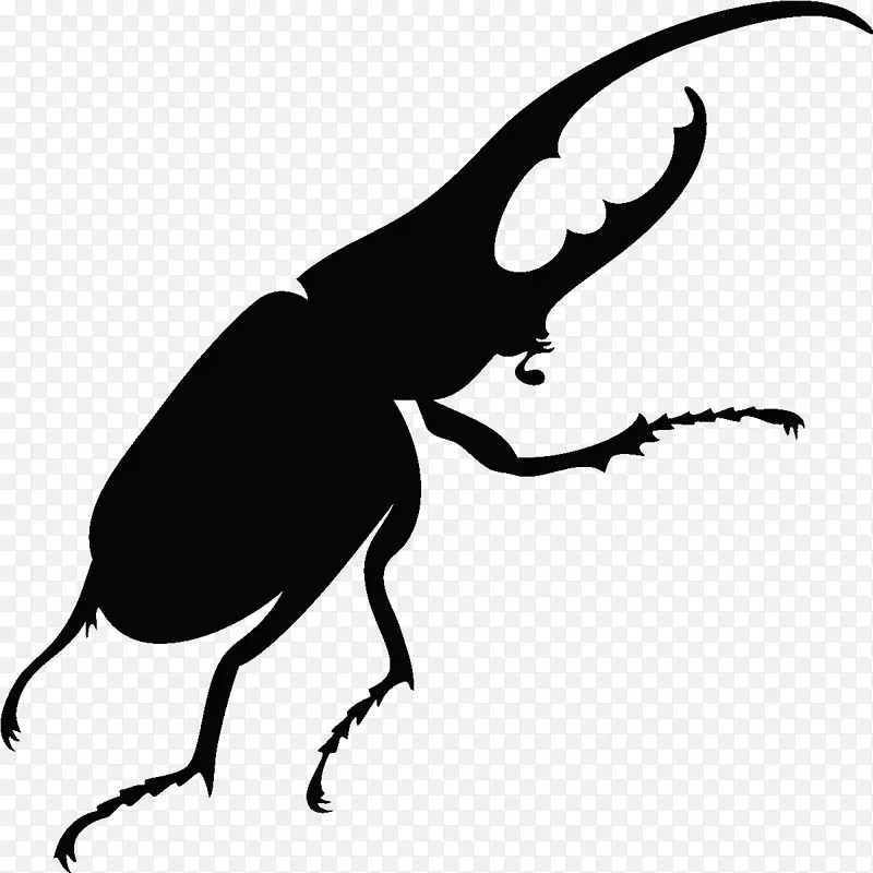 甲虫图形，摄影剪影，皇室-免费甲虫