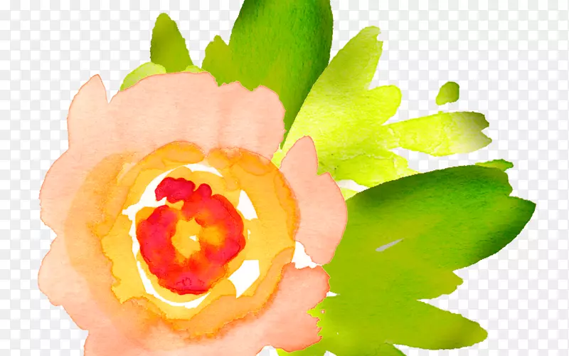 剪贴画水彩：花卉免费内容-尼克斯标志