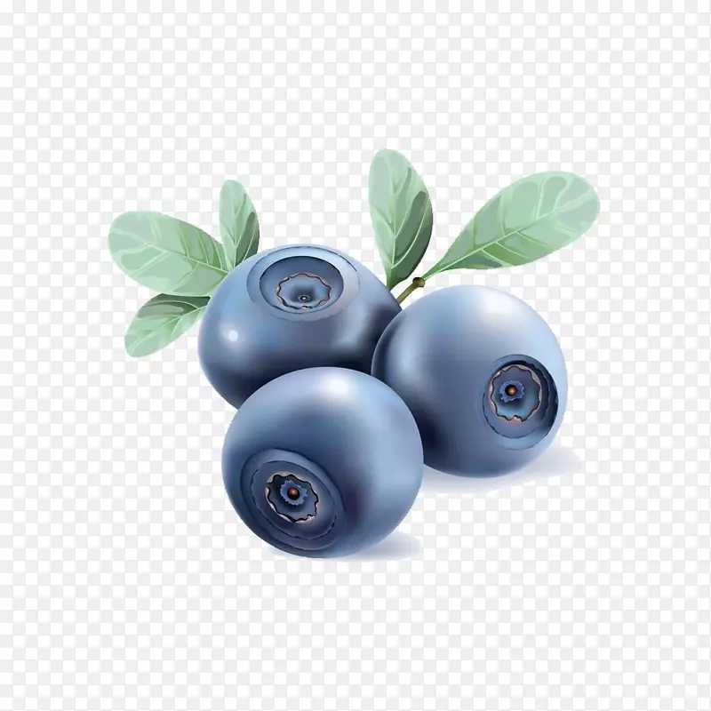 蓝莓茶图形剪贴画