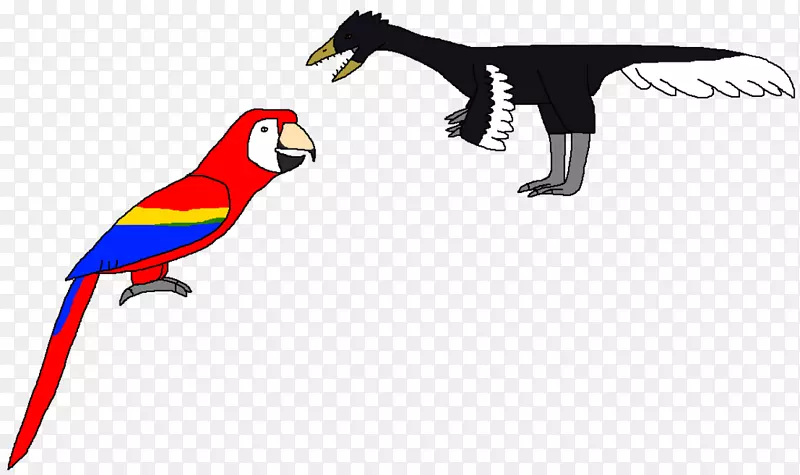 金刚嘴夹艺术动物线-始祖鸟图形