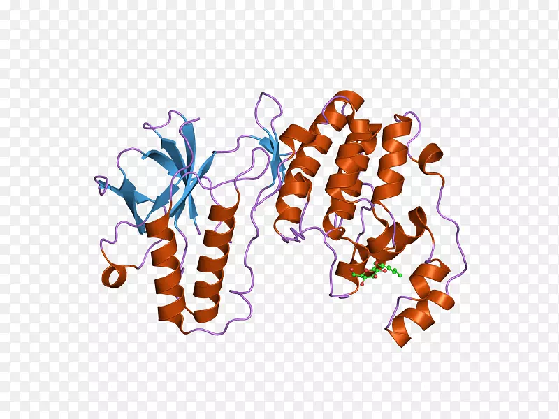 mapk 14 p38丝裂原活化蛋白激酶酶
