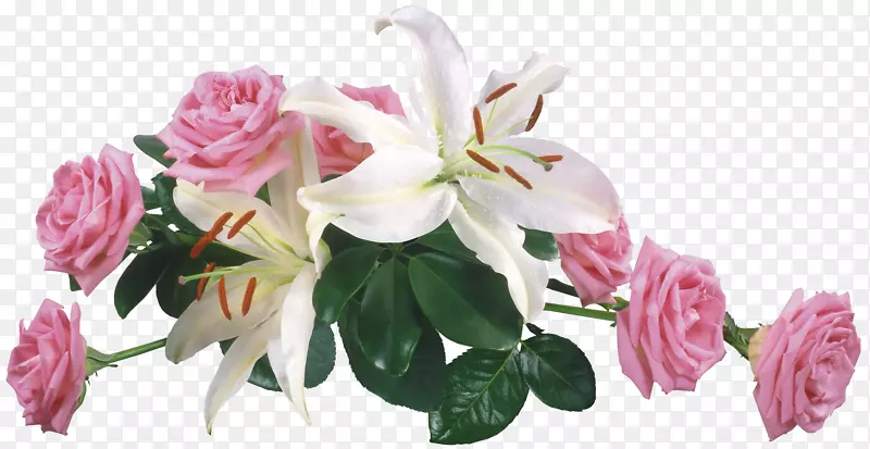 静物：粉色玫瑰png图片花免费图像花