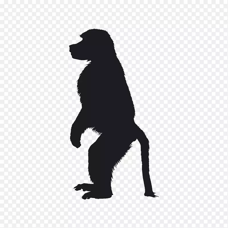 灵长类猿猴形象猴子