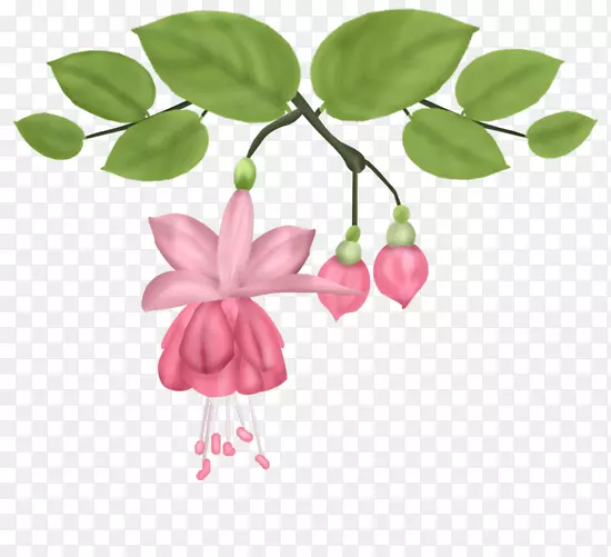 花卉png图片设计图像绿色装饰