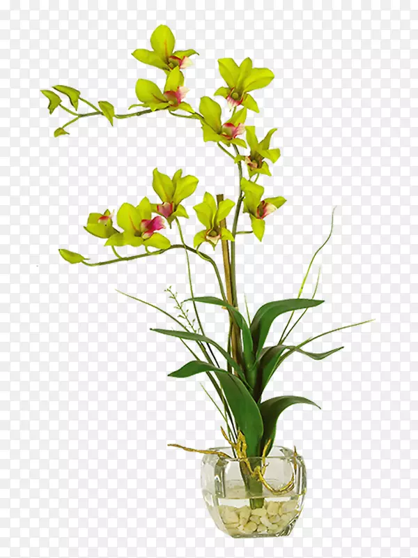花瓶，人造花，兰花，盆栽植物