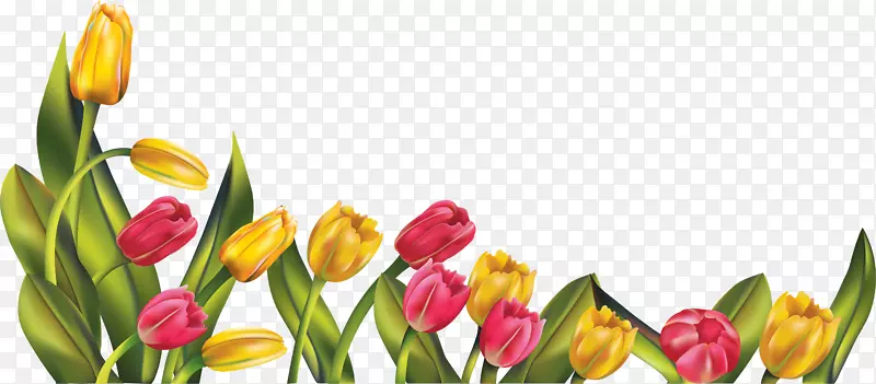 png图片剪辑艺术英迪拉甘地纪念郁金香花园形象-郁金香
