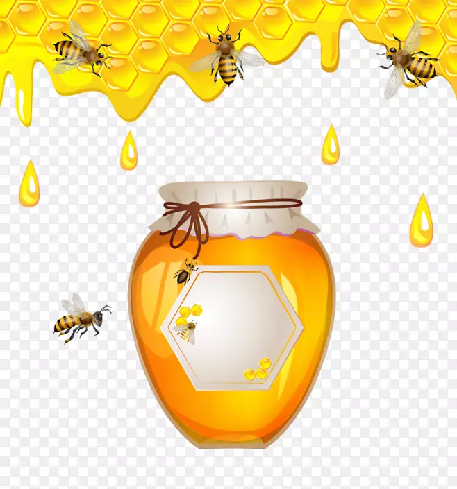 西方蜜蜂蜂巢养蜂-花蜜卡通