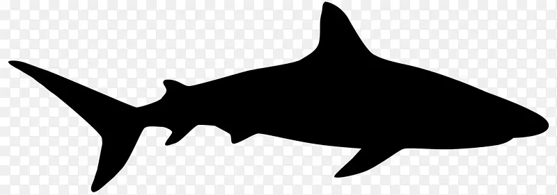 鲨鱼版税-免费图像