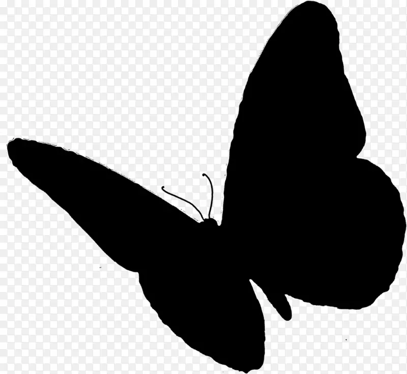 蝴蝶昆虫可伸缩图形计算机图标png图片