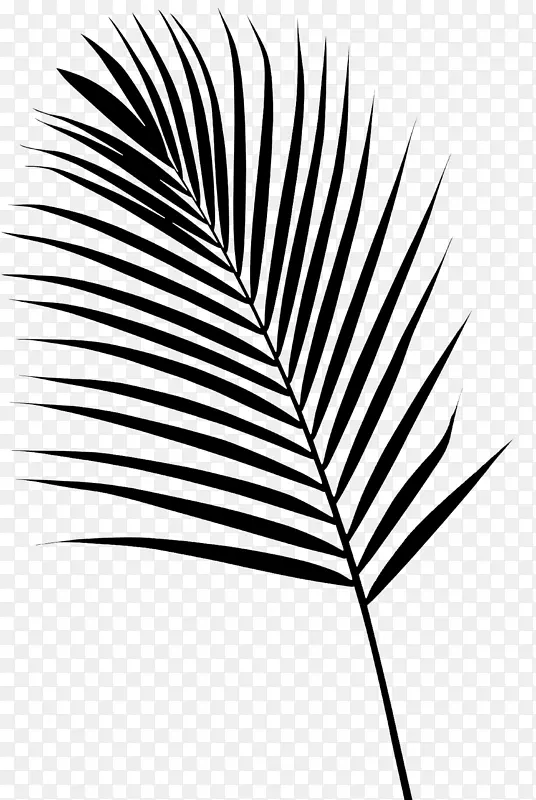 棕榈树字体线叶草