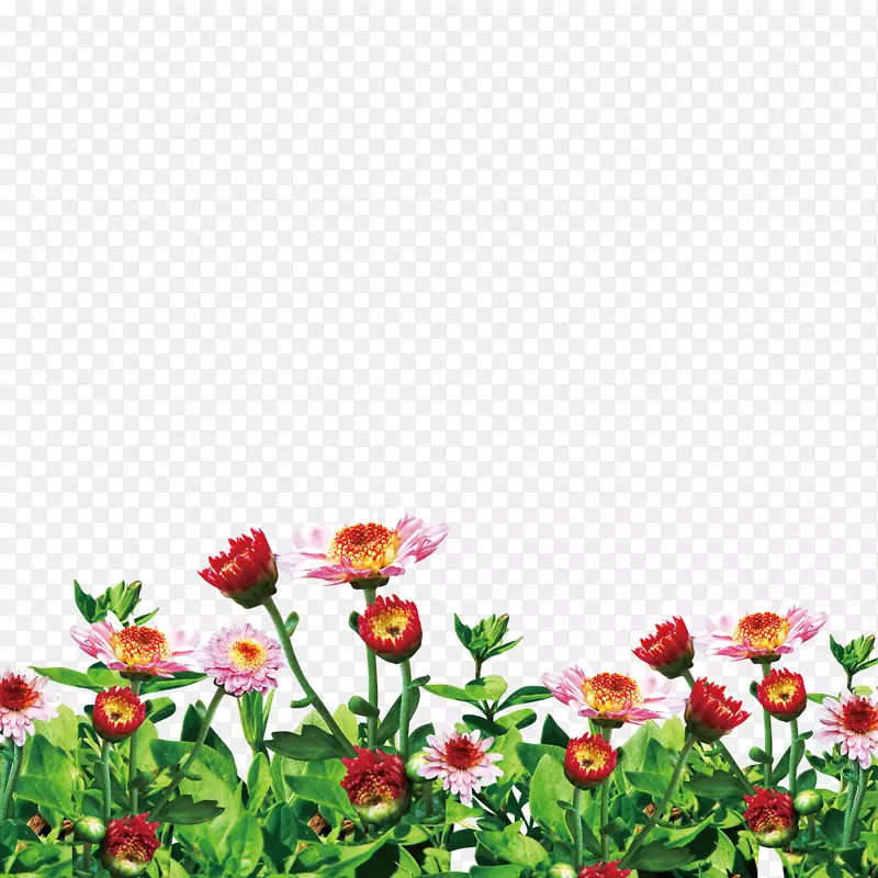 花卉花园图片png图片剪辑艺术.花卉