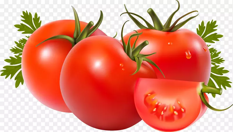 番茄汤番茄汁png图片罗姆番茄罐头蔬菜