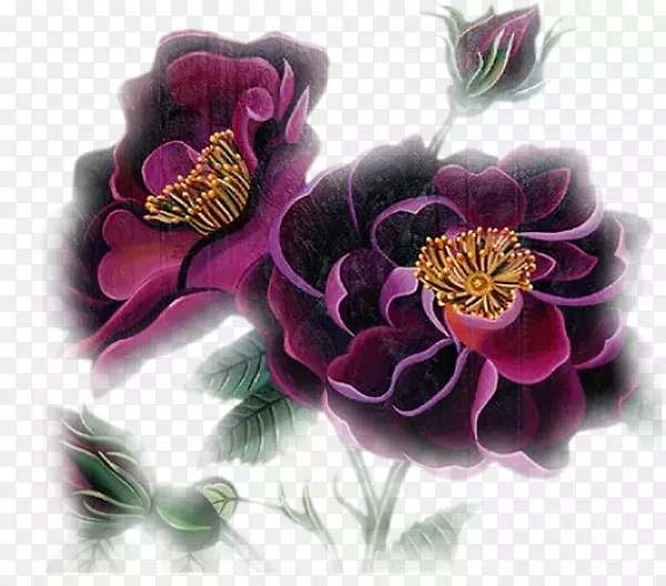 花卉图像png图片设计