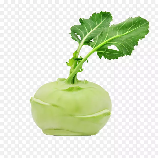 椰菜-蔬菜