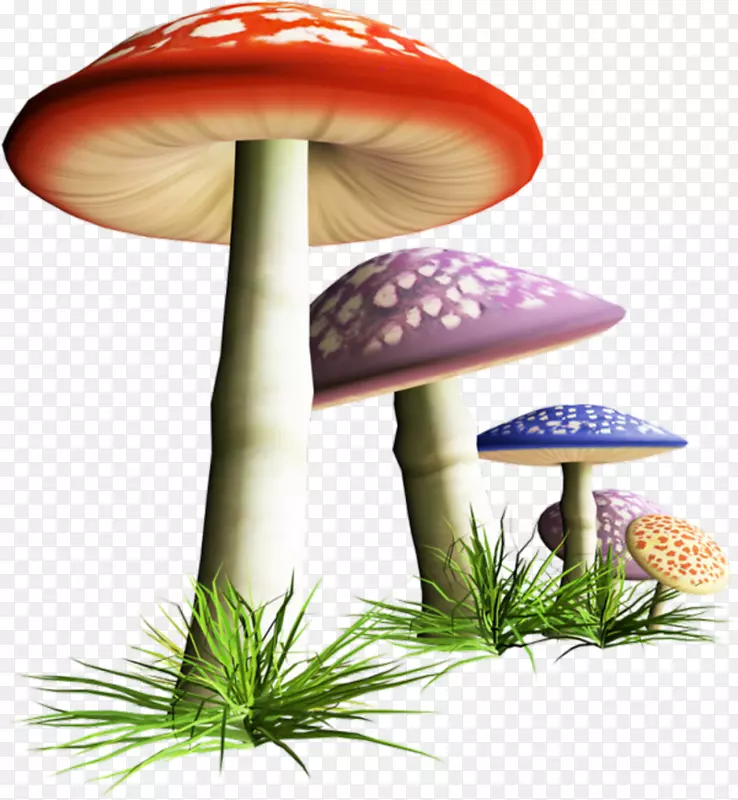 蘑菇剪贴画图片桌面壁纸-蘑菇