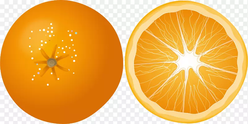 png图片橙色剪贴画图形透明度.橙色