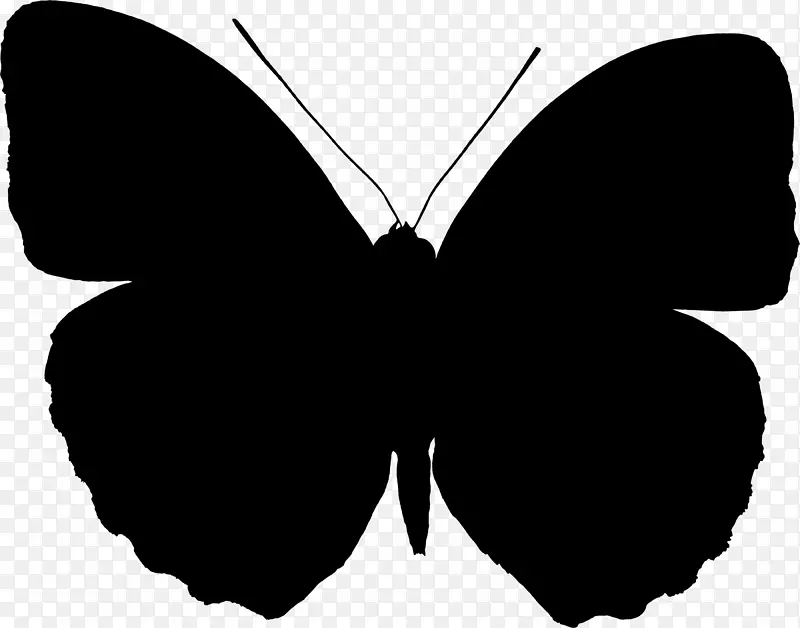 毛刷脚蝴蝶png图片可伸缩图形昆虫计算机图标.