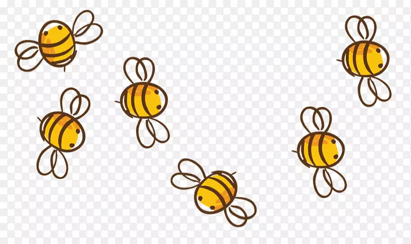 西方蜜蜂蜂王