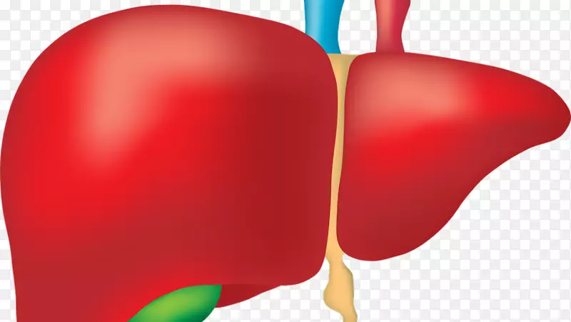 脂肪肝病肝功能试验肝癌增强海报