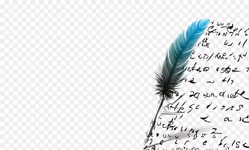 羽毛产品设计字体图形.Avianca框架