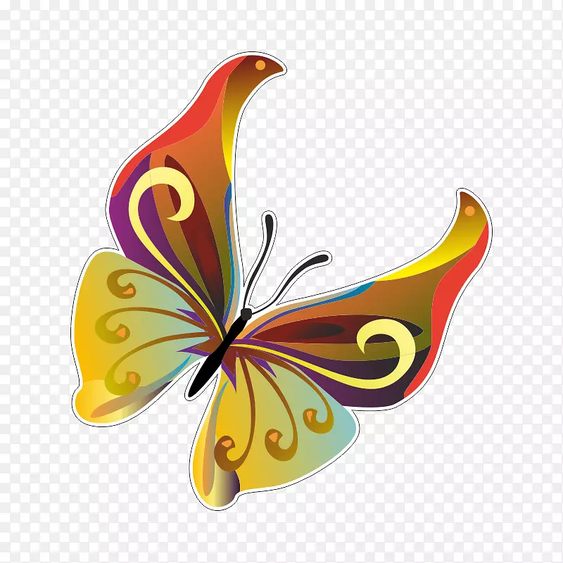 蝴蝶图形剪辑艺术图像png图片蝴蝶