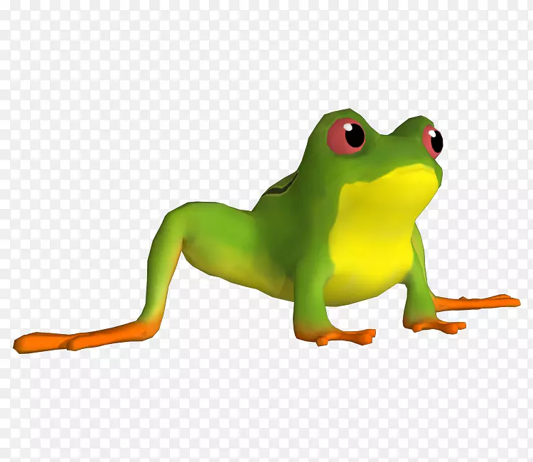 真蛙蟾蜍树蛙剪贴画-青蛙装饰
