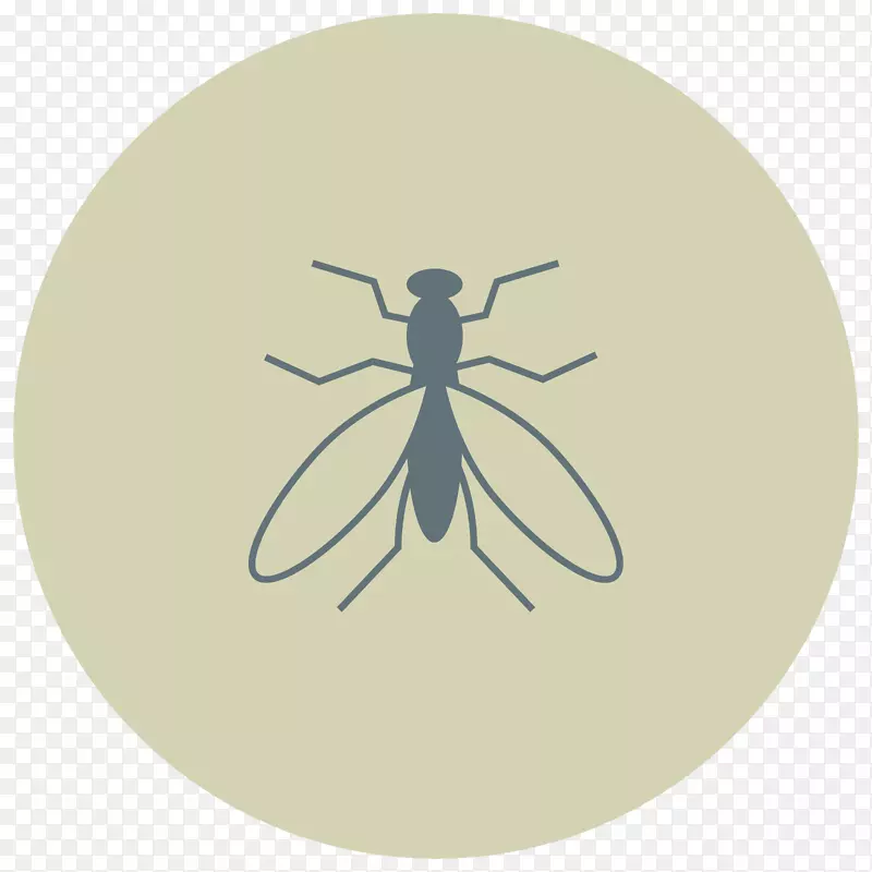 飞行计算机图标昆虫图形圆-苍蝇