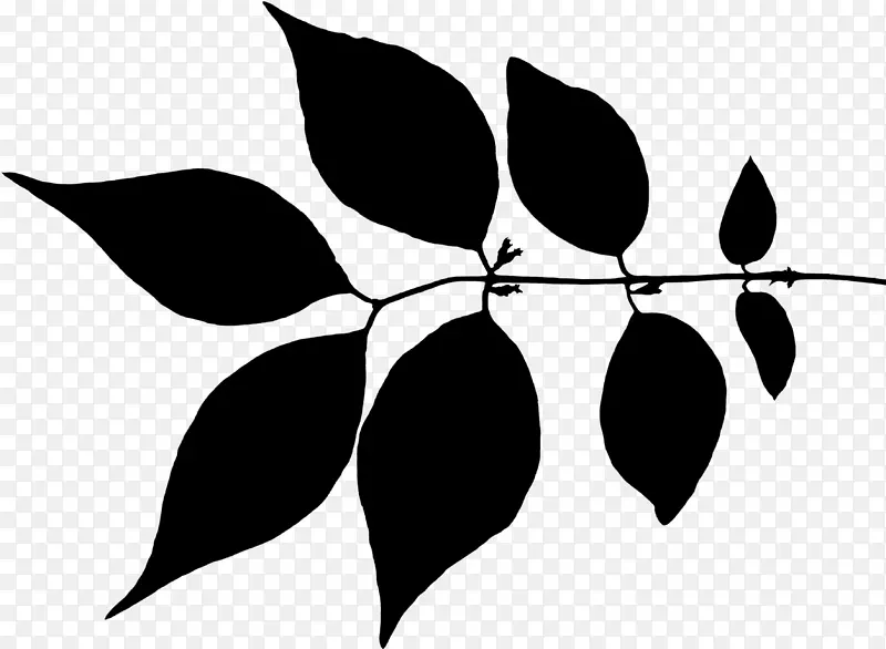剪贴画叶植物茎花图案