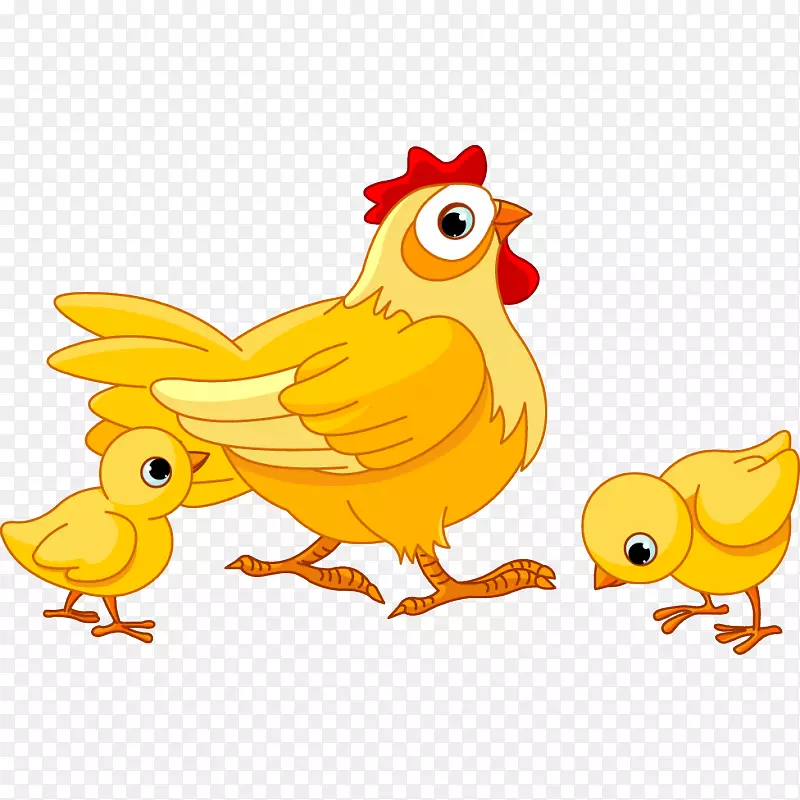 鸡图像版税-免图形剪辑艺术-鸡