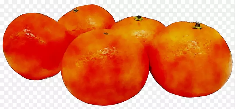 李子番茄食品哈哈
