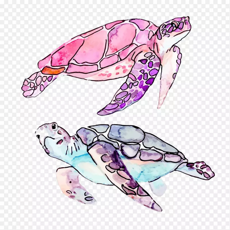 海龟剪贴画图形免版税插图.意外水彩