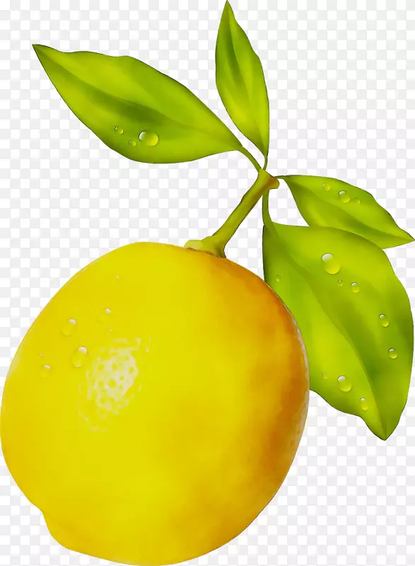 柠檬柠檬酸玉祖