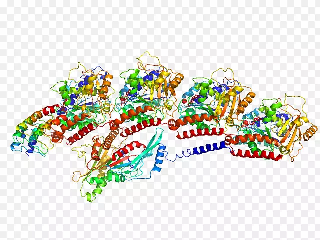 微管蛋白，β2b蛋白，kankyrin重复tuba1b-alpertornaci信息图