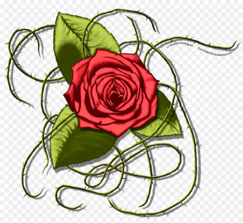 花卉设计花园玫瑰花，卷心菜，玫瑰，切花，花束