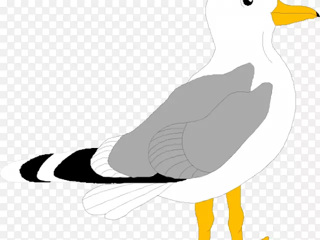 鸟类海鸥剪贴画图形插图.西格尔卡通