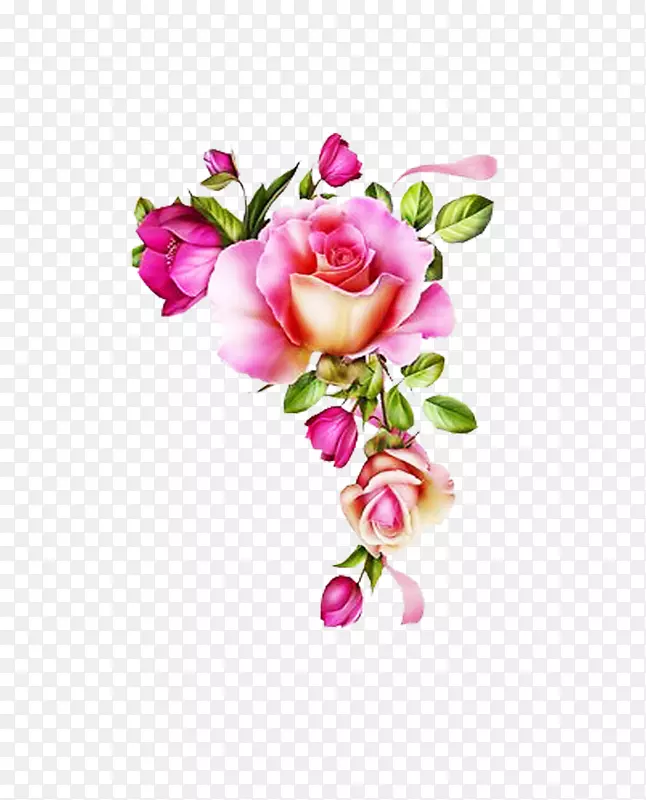 玫瑰花设计剪贴画粉红花.水彩画