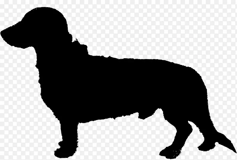 金毛猎犬拉布拉多猎犬纽芬兰犬剪贴画