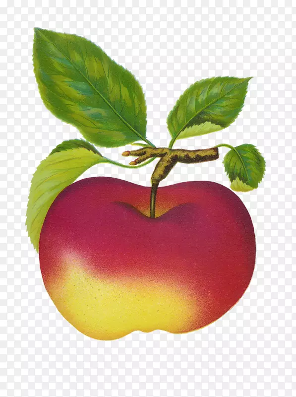 剪贴画水果开放部分免费苹果内容-苹果
