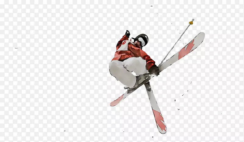 塞罗卡德拉尔滑雪装订自由式滑雪