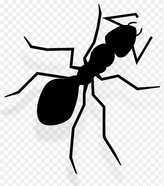 蚂蚁昆虫剪贴画图片