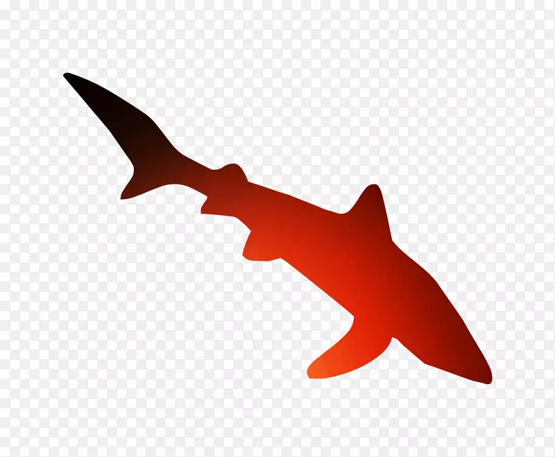 鲨鱼字体海洋