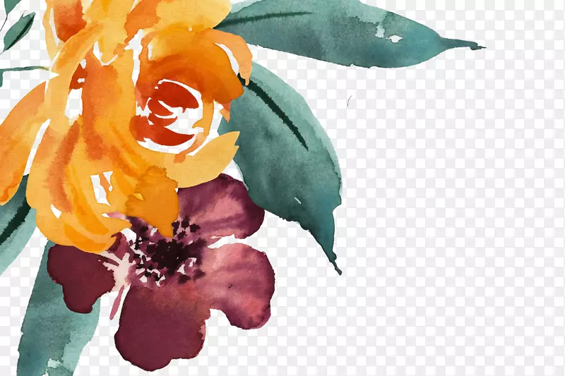 水彩画：花卉水彩画图形绘画