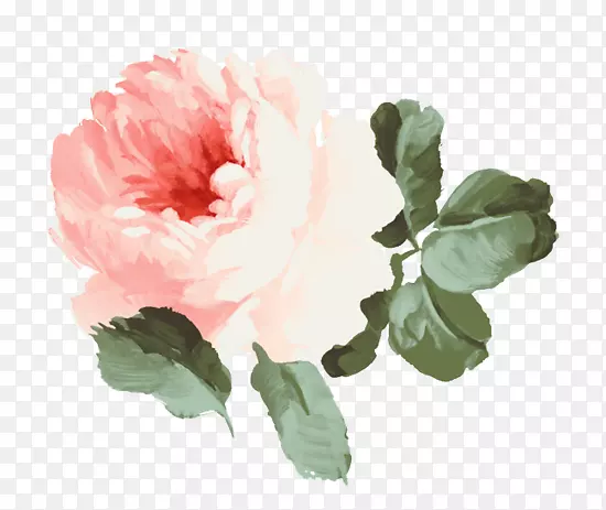 静物：粉红色的玫瑰，粉红色的花，花园里的玫瑰-插花