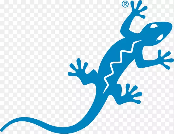 蓝蜥蜴澳大利亚防晒霜敏感标志