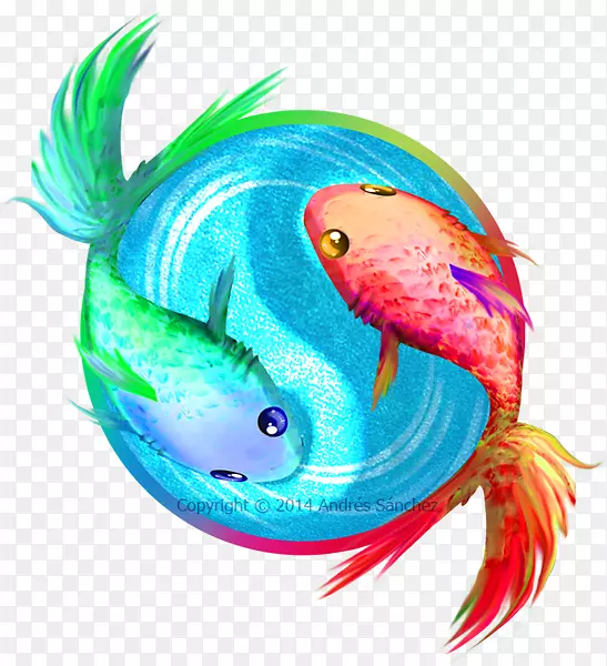 骨鱼海洋生物艺术家阴阳乌插图